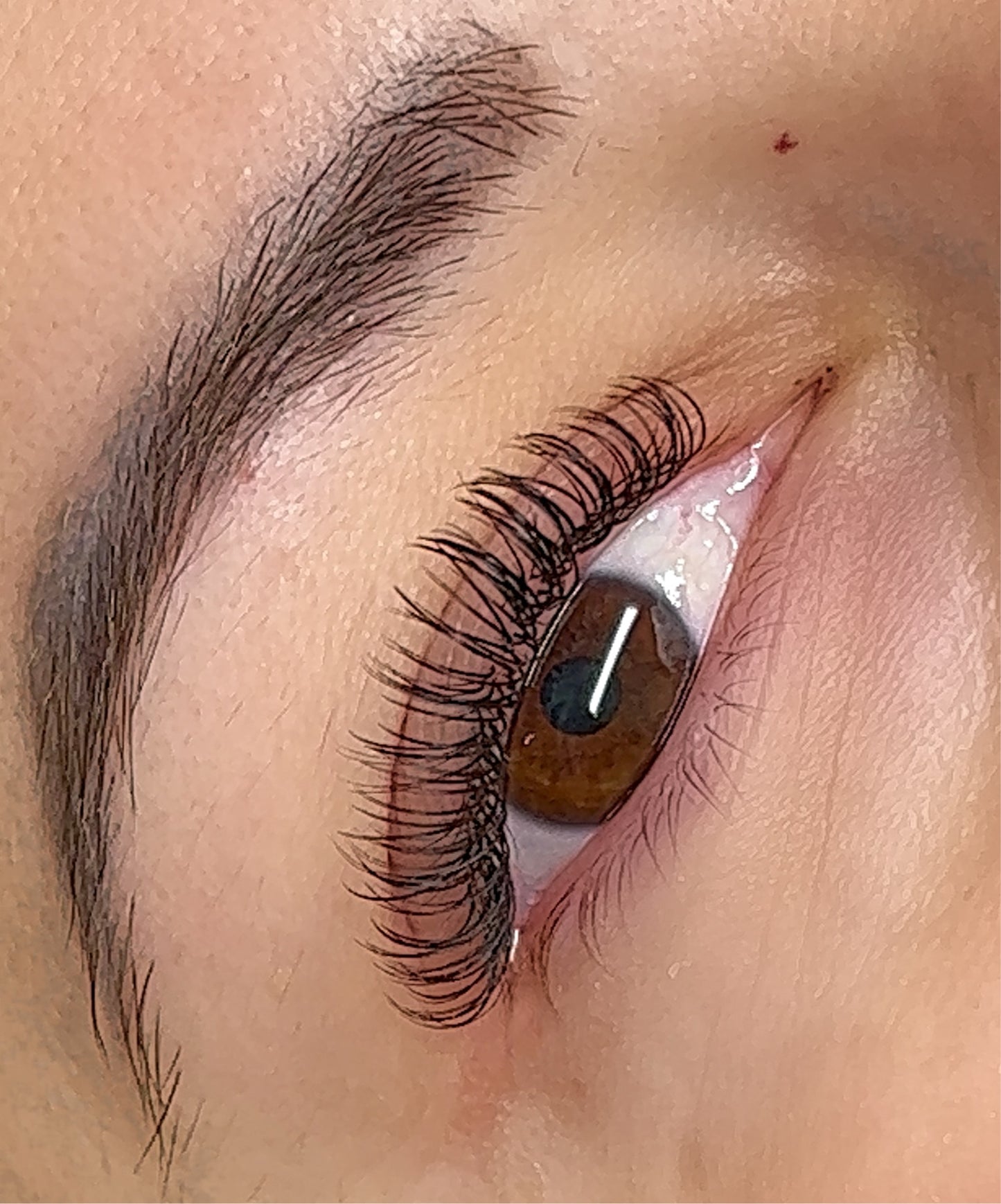 Soft Touch Lashes